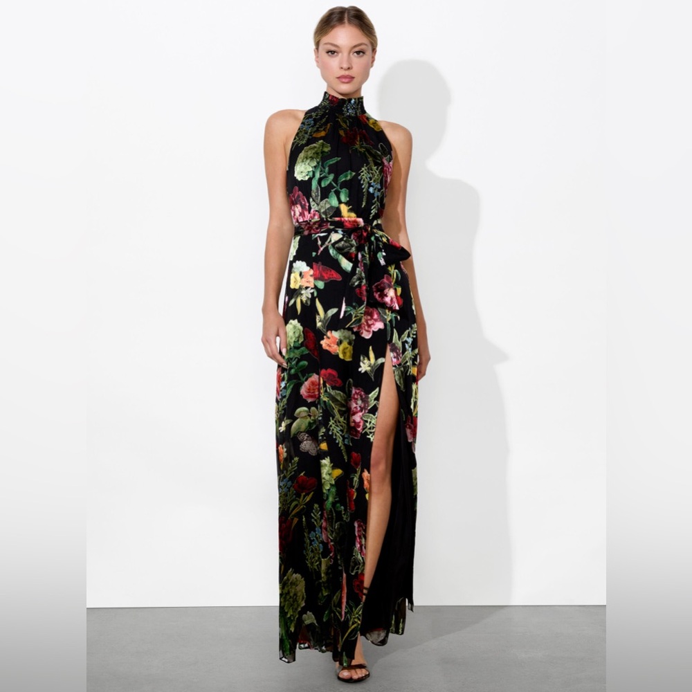 NWT $695 Alice and Olivia Dita Smocked Neck Godet Maxi Dress - Picture 5 of 10